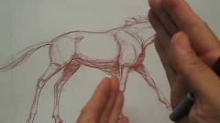 Draw the Wildebeest part 3 of 3