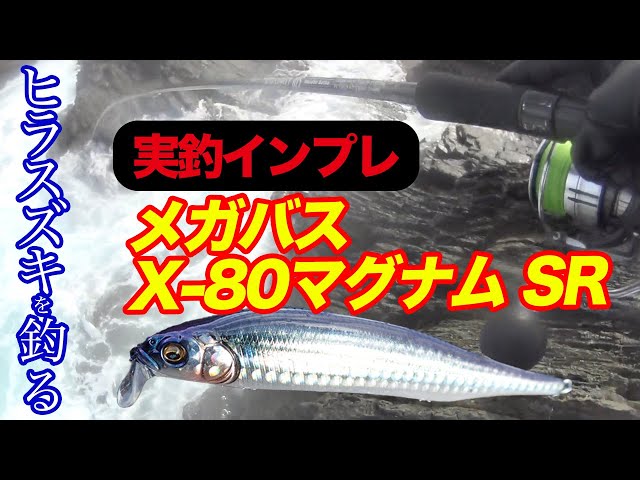 Megabass X-80 Magnum SR Actual Fishing Impressions] Catch black