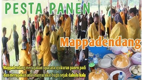 Mappadendang, Pesta Panen Padi, Tradisi Bugis