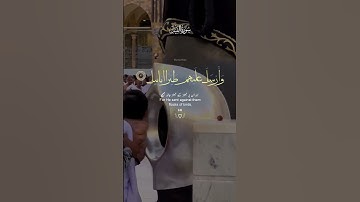 📖 سورة الفيل সূরা আল-ফীল# #quran #islamicreminder #love #islamicvideo #beautiful