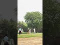 Cover drive #cricket #hardikpandyabattinghighlights #battting
