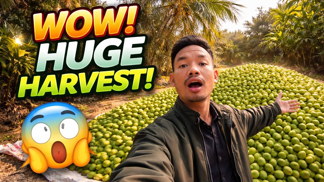 Khwmwlwngo Borai Nahar Na Bgoi Thg Lai kha😱#Kokborokvlog @RebisunRider 