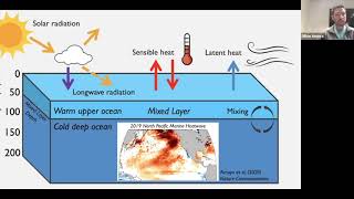 Dillon Amaya - Why Do Marine Heatwaves Happen?