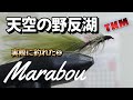 【天空の野反湖】実際に釣れたフライの作り方✨マラブー❷✨ WET FLY😀👍