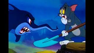 Tom And Jerry English Episodes - The Cat and the Mermouse - Cartoons For Kids
