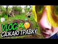 VLOG: САЖАЮ TPAВKУ / КУПИЛ КИРПИЧИ