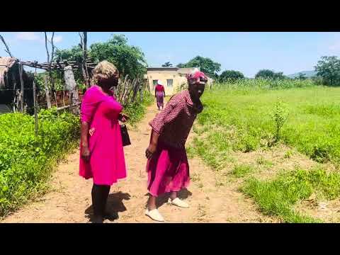 You Are Under Surveillance Mainini Mamavee 