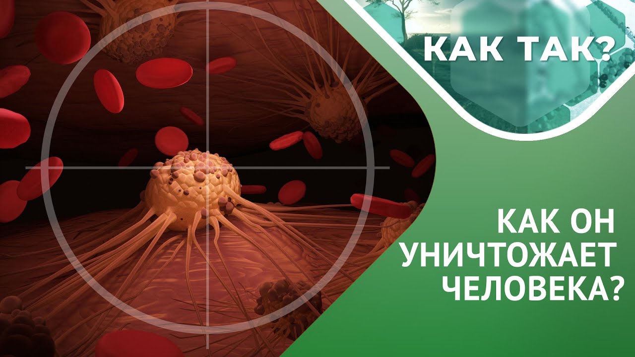 Рак: как он возникает и как его остановить? // КАК ТАК? Выпуск 4 - YouTube