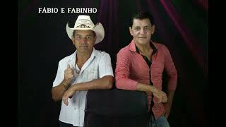 Fabio e Fabinho  Vol.3 - VELHO SARADÃO screenshot 3