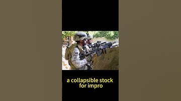 Mk 14 Enhanced Battle Rifle Introduction #shorts #Mk14 #weapon