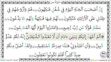 سورةُ يس (55 - 62) - أحمد النفيس