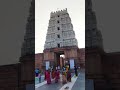 Vrindavan Trip with my Mom #vrindavan #radheradhe #trip #mathura #radheshyam #mandir #vrindavan