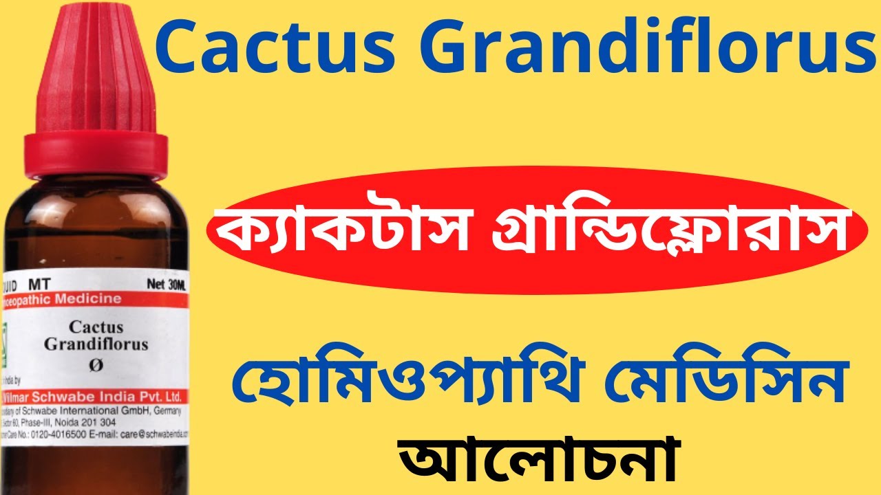 Cactus Grandiflorus Homeopathic Medicine Explain ? Cactus G Q, cactus G