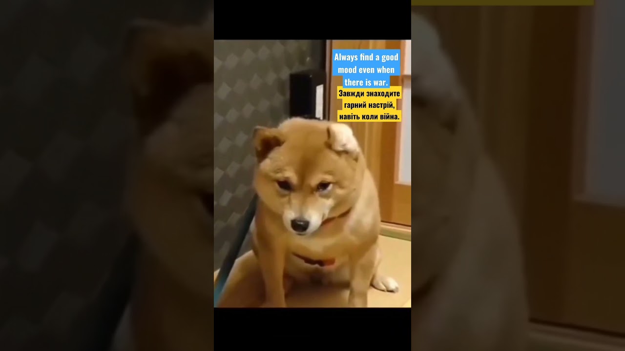 Always find a good mood even when there is war. Завжди знаходите гарний настрій, навіть коли війна.