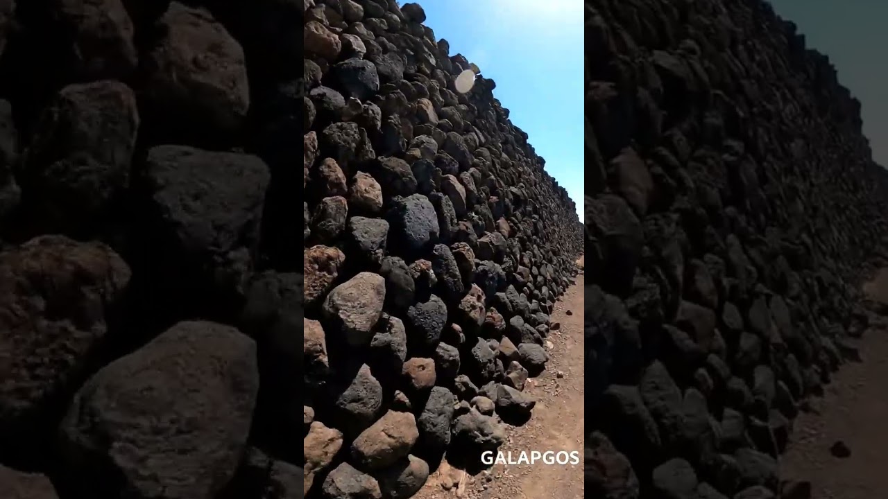 Desolate History on Isabela Island