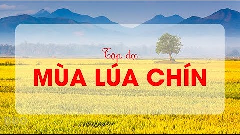 Mùa lúa chín (Phần 2) - Tiếng Việt lớp 2 - Bộ Cánh Diều [OLM.VN]