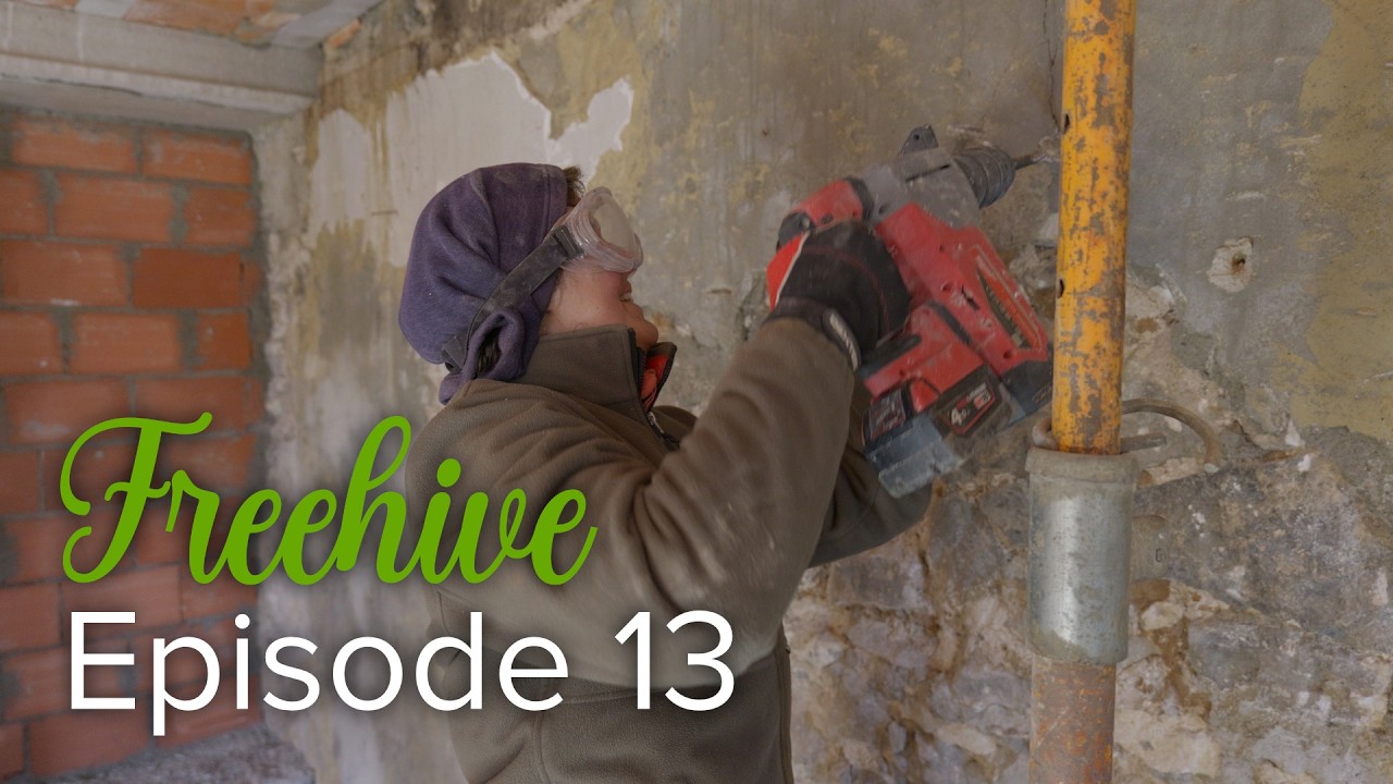 Freehive - Episode 13