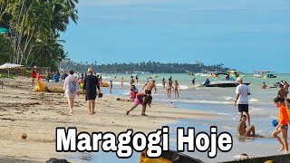Maragogi Alagoas 20 De Maio De 2024 Dicas Importantes
