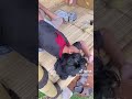 Jahilin kaki temen