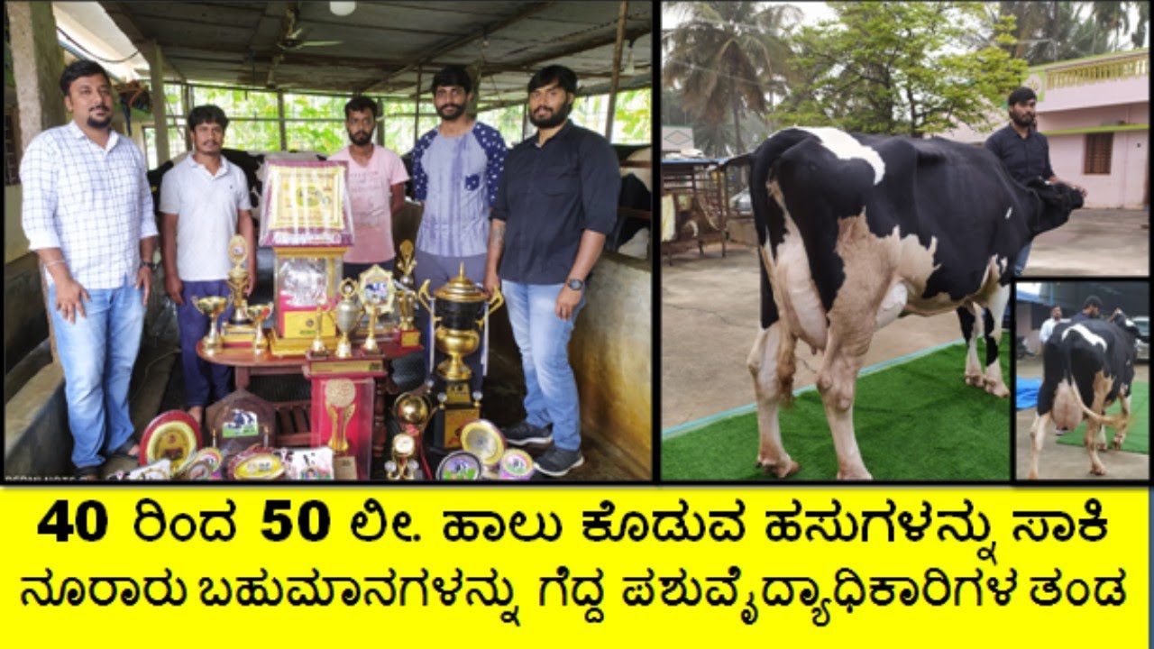 ಪ್ರತಿದಿನ 40 ರಿಂದ 50 ಲೀಟರ್ ಹಾಲು ಕೊಡುವ ಹಸುಗಳನ್ನು  ಸಾಕಿ ನೂರಾರು ಬಹುಮಾನ ಗೆದ್ದ ಪಶುವೈದ್ಯಾಧಿಕಾರಿಗಳ ತಂಡ