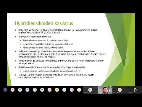 Video: Yrityksen Taloudelliset Resurssit: Ominaisuudet Ja Päälähteet