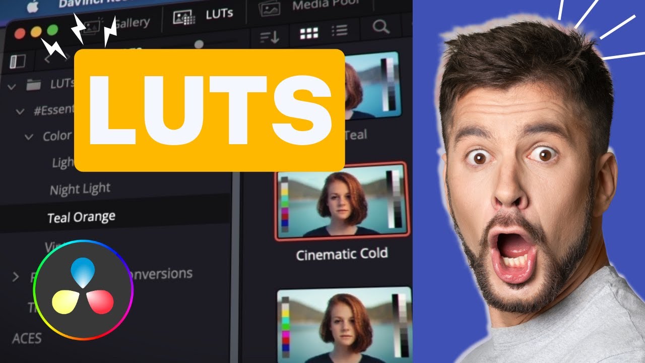 Comment installer LUT dans Davinci Resolve, comme un PRO !