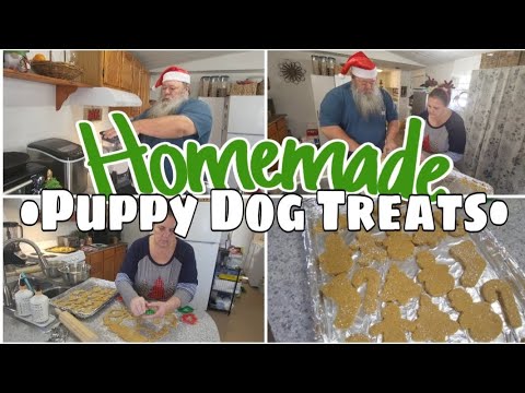 Homemade Peanut Butter-Pumpkin Dog Treats / Mobile Home Living / Vlogmas 2022