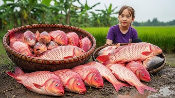 Harvesting 1000+ Wild Fish - How to Build & Use PRIMITIVE Net Trap | Uncovering Ancient Secrets