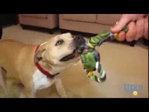 Wideo: All-Natural Wonderwide Jerky Dog Treats Bezpieczna i smaczna opcja dla zatroskanych rodziców zwierząt domowych