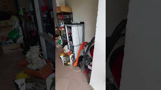 video 2 FACCIATA ED ENTRIAMO town house a Virle Piemonte . ARREDATA