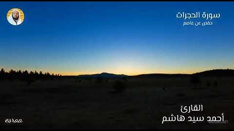 سورة الحجرات. القارئ الشيخ أحمد سيد هاشم.