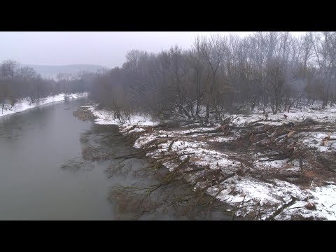 В Новом Осколе начато благоустройство прибрежной зоны реки Оскол