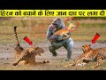 जानवरों की इंसानियत देख इंसान शर्मा जाएंगे | Unbelievable Animals That Saved Other Animals