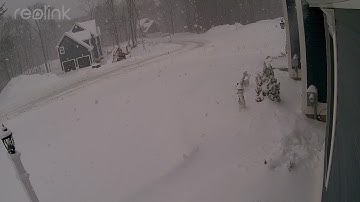 Reolink Captures: Heavy Snow