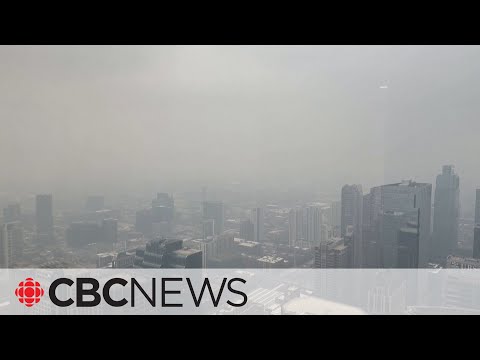 Wildfire smoke fuelling air quality concerns in u. S. , southwestern ontario