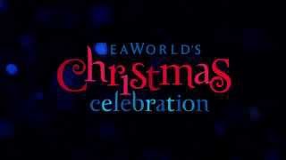 SeaWorlds Christmas Celebration | SeaWorld San Antonio