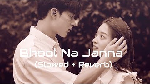 Bhool Na Jaana (भूल न जाना) | Tanveer Evan | Slowed Reverb song | MEMORIES ARE FOREVER (EP)