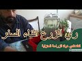 افضل طريقة لري النباتات اثناء السفر