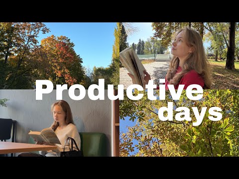 September diaries | Продуктивные будни в 10 классе