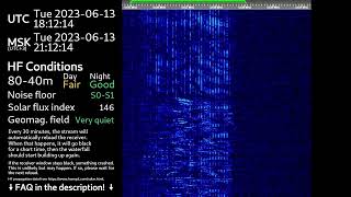 The Buzzer/UVB-76(4625Khz) June 13th, 2023 18:11UTC Voice message