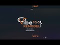 Vibe Remodel: Transforming Homes with Inspired Renovation &amp; Remodeling Services
