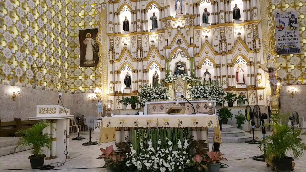 FEAST OF THE BAPTISM OF THE LORD ( ENGLISH MASS) BY FR. TITO VOZ AT STS. PETER AND PAUL CATHEDRAL