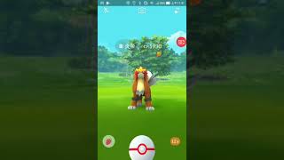 20171114 Taiwan 1930 Entei escape 10 excellent throw(1)