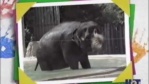 Read With Me / Dance With Me (Demo Version) Part 7