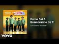 Los Rieleros Del Norte - Como Fui A Enamorarme De Ti (Audio)