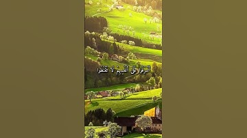 واتس اب قران كريم القارئ ياسر الدوسري من سورة (الزمر)