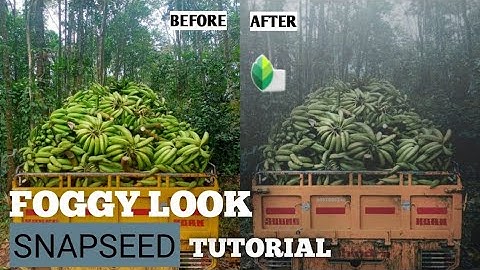 Create Foggy look with double exposure in  Snapseed| snapseed editing