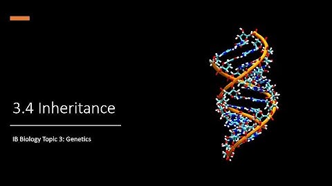 IB Bio 3.4 Inheritance