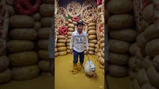 andar Dekho kadhi chawal Ka Ghard mustakeem video achcha Lage to like kar dena