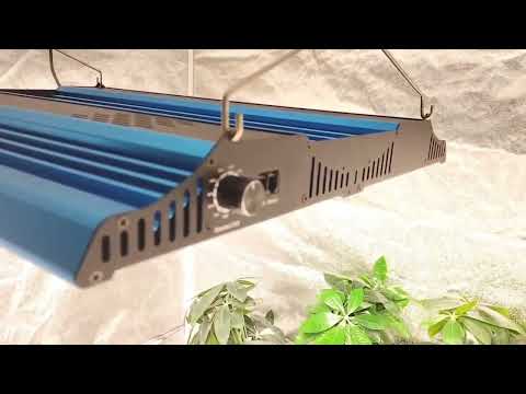 quantum board 480w